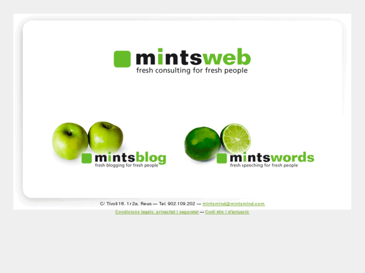 www.mintsmind.com