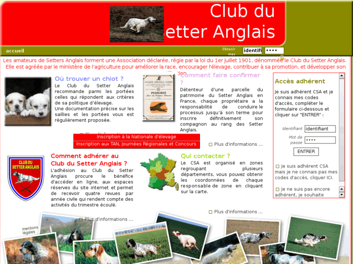 www.setter-club.com