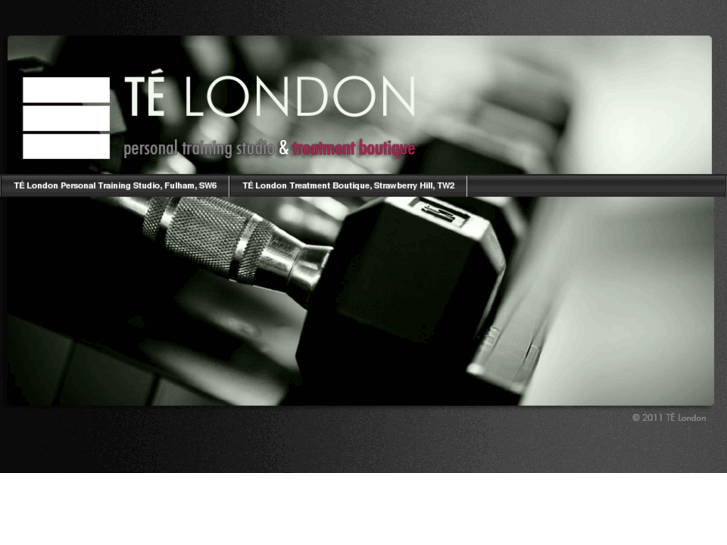 www.telondon.com