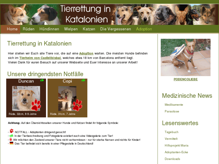 www.tierrettung-katalonien.com