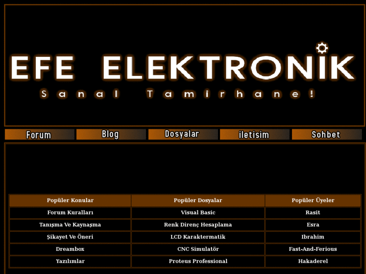 www.efeelektronik.net