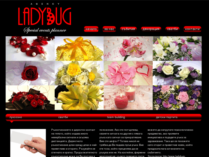 www.ladybug-bg.com