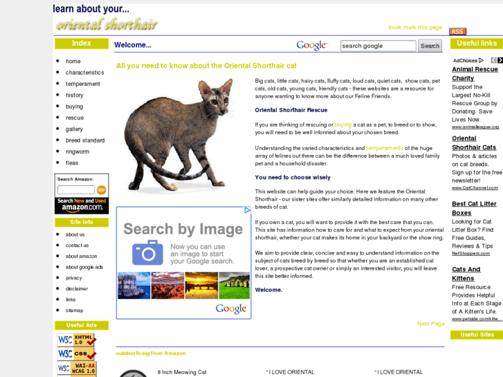 www.learnaboutyourorientalshorthair.com