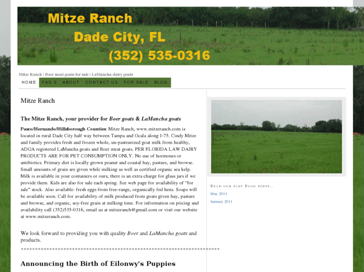 www.mitzeranch.com