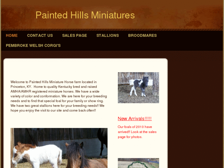 www.paintedhillsminiaturehorses.com