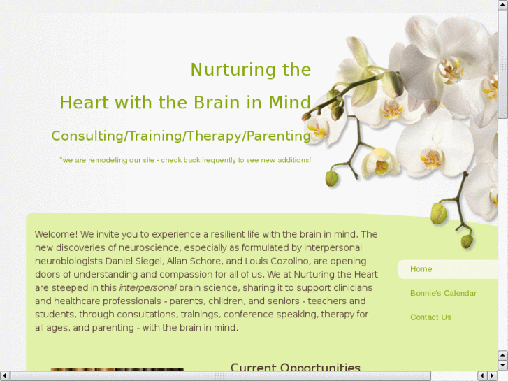 www.brainwisetherapist.org
