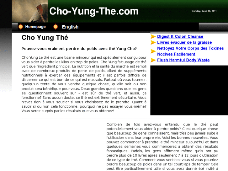 www.cho-yung-the.com