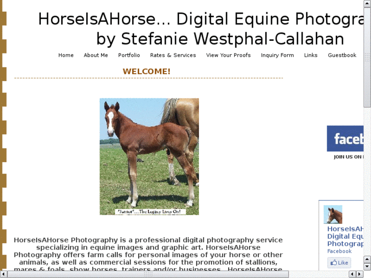 www.horseisahorse.com