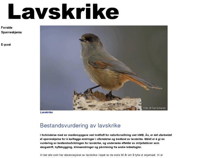 www.lavskrike.net