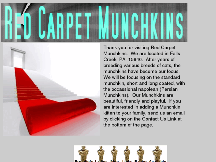 www.redcarpetmunchkins.com