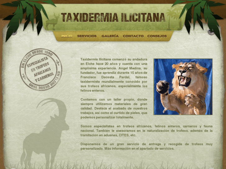 www.taxidermiailicitana.com