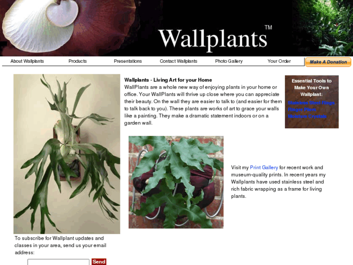 www.wallplants.com