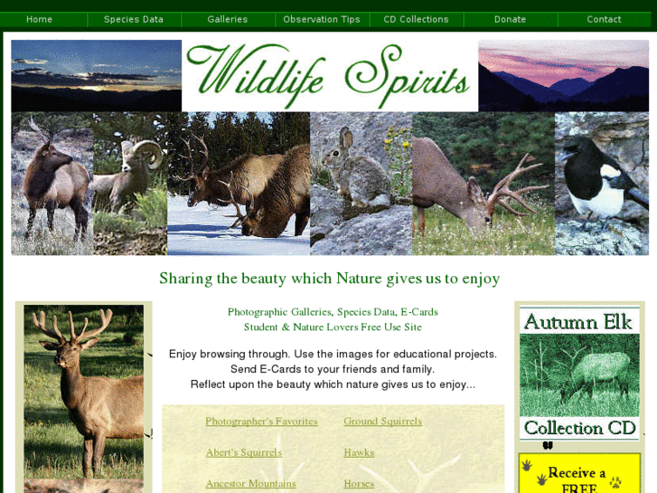 www.wildlifespirits.com