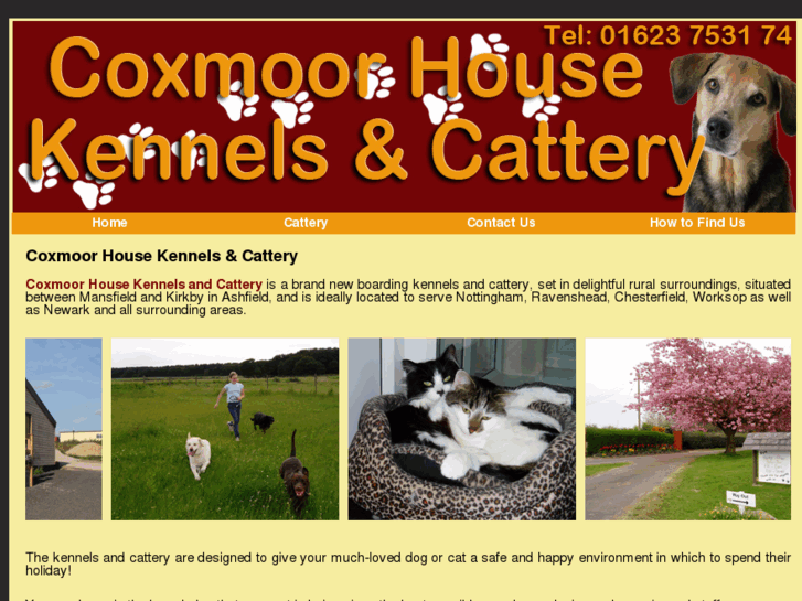 www.coxmoorhousekennelsandcattery.com