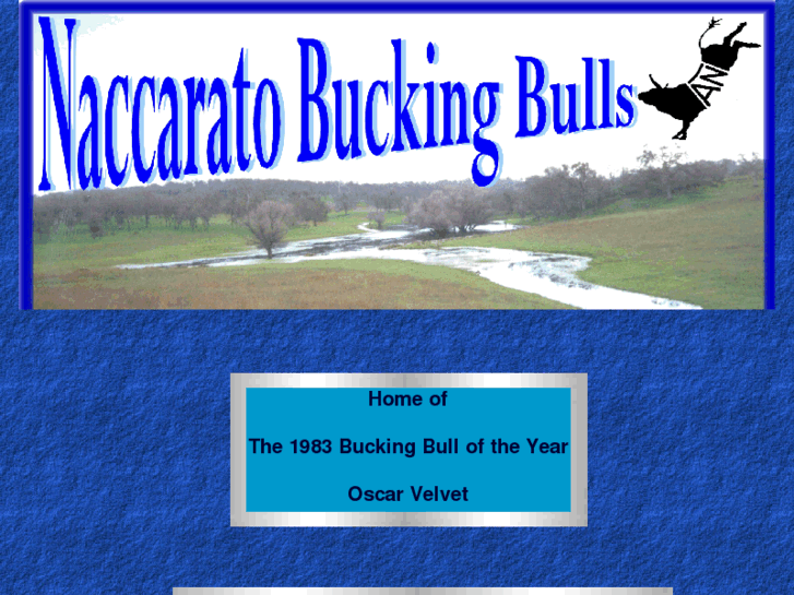 www.naccaratobuckingbulls.com
