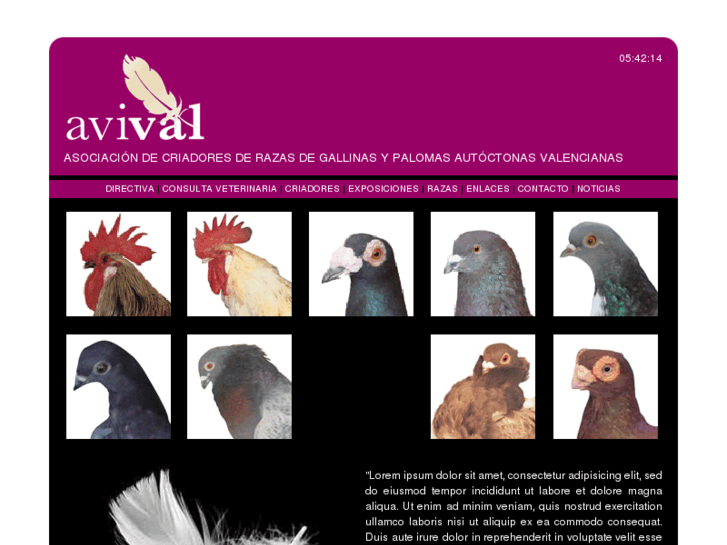 www.avival.com