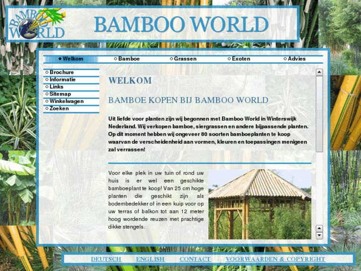 www.bamboeplanten.com