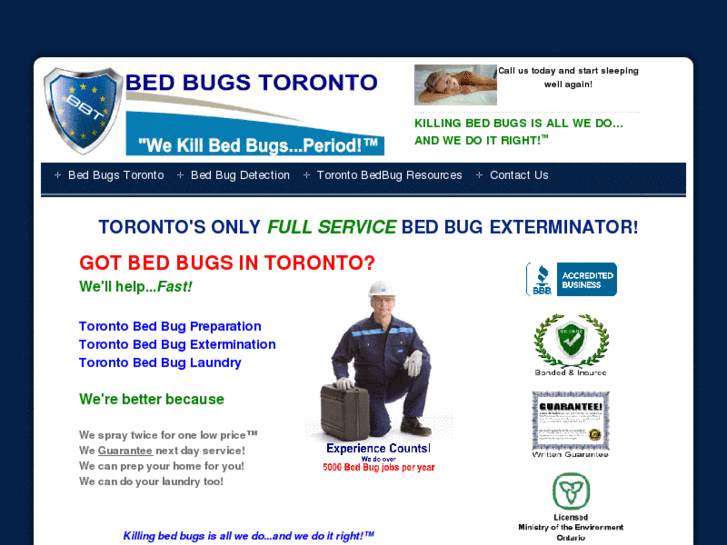 www.bedbugstoronto.net