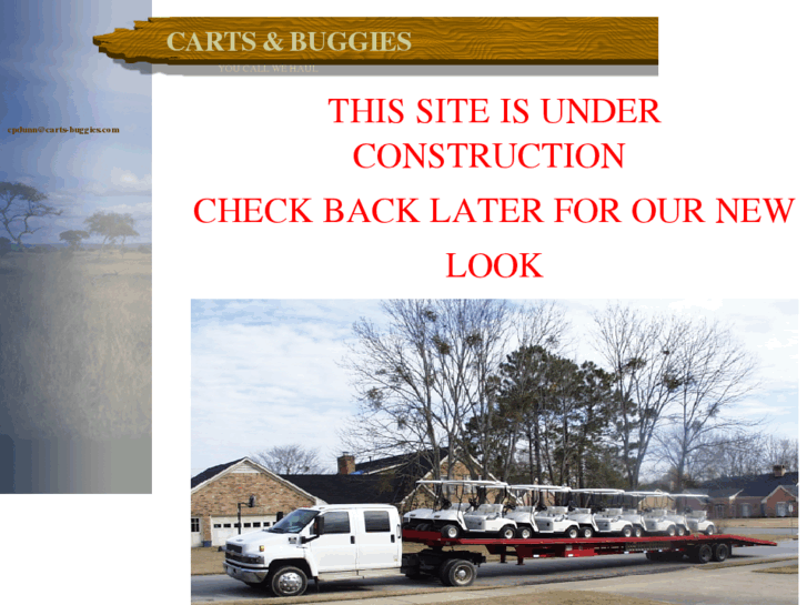 www.carts-buggies.com