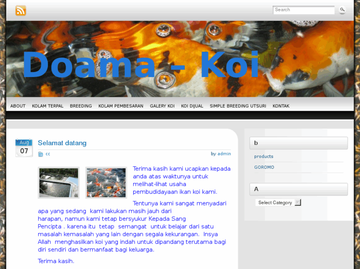 www.doama-koi.com