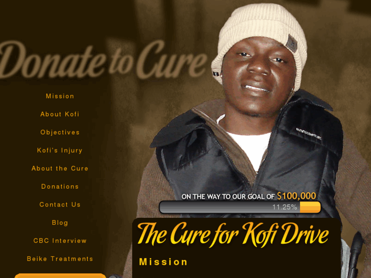 www.donatetocure.com