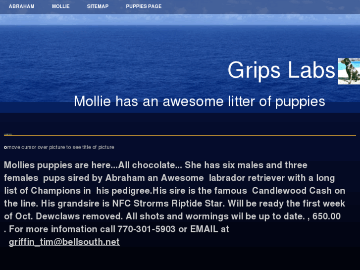 www.gripslabs.net
