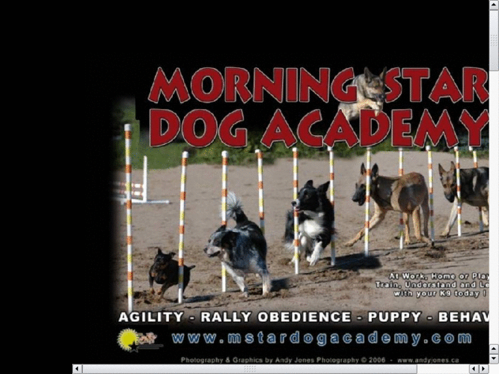 www.mstardogacademy.com