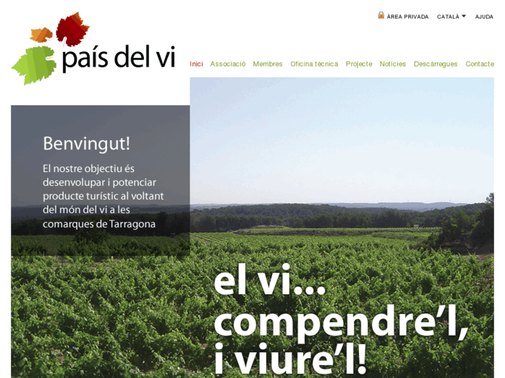 www.paisdelvi.com