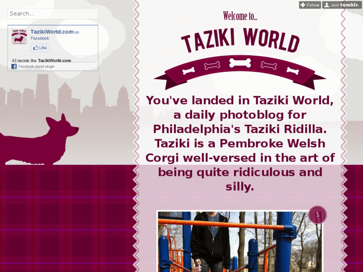 www.tazikiworld.com