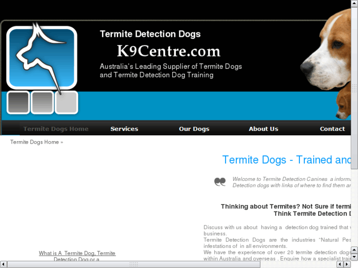 www.termitedetectioncanines.com