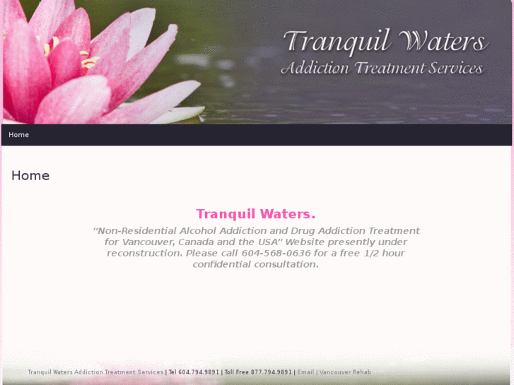 www.tranquilwatersaddictiontreatmentservices.com