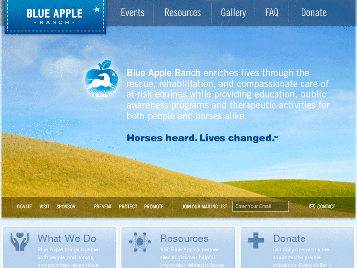 www.blueappleequine.com