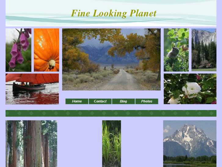 www.finelookingplanet.com