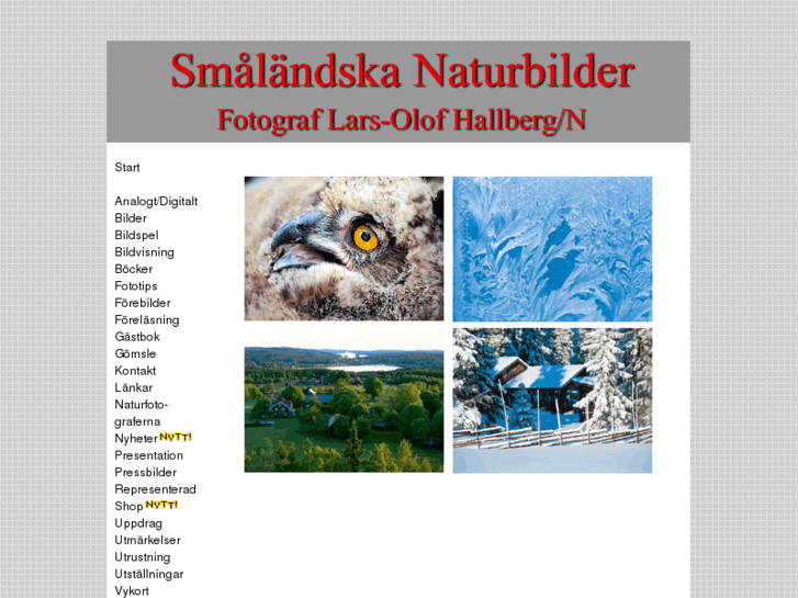 www.fotohallberg.se