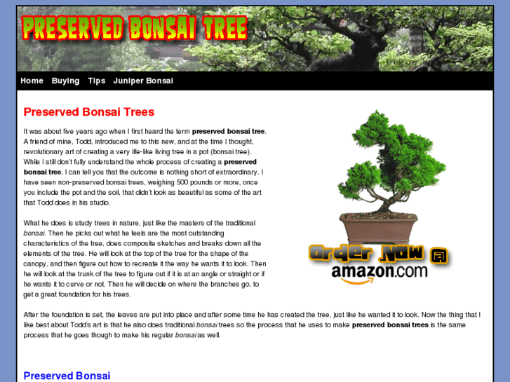 www.preservedbonsaitree.com