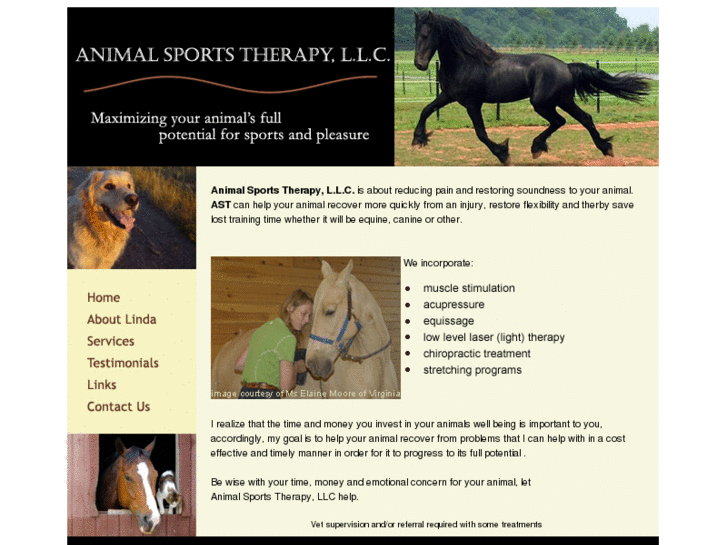 www.animalsportstherapy.com