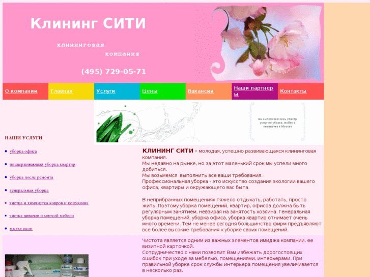 www.cleaningcity.ru