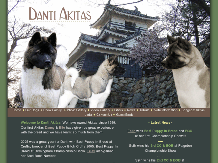 www.dantiakitas.co.uk