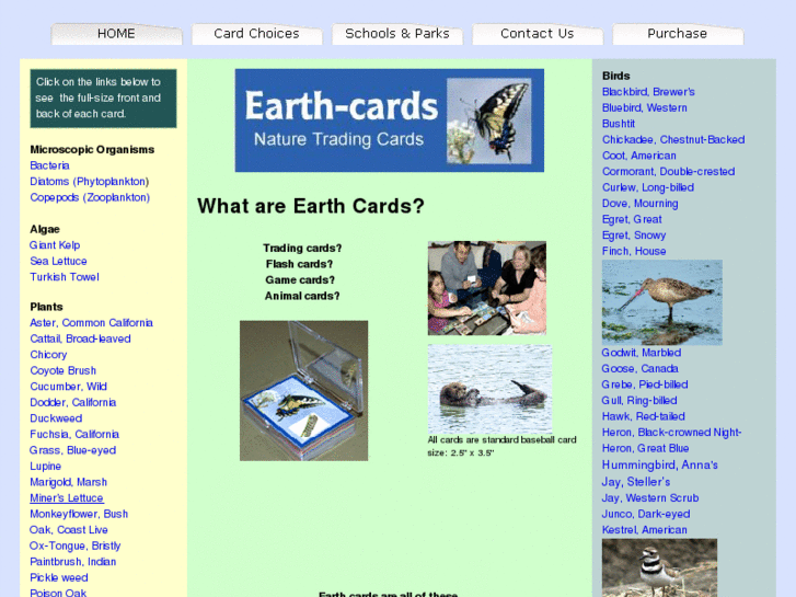 www.earth-cards.com