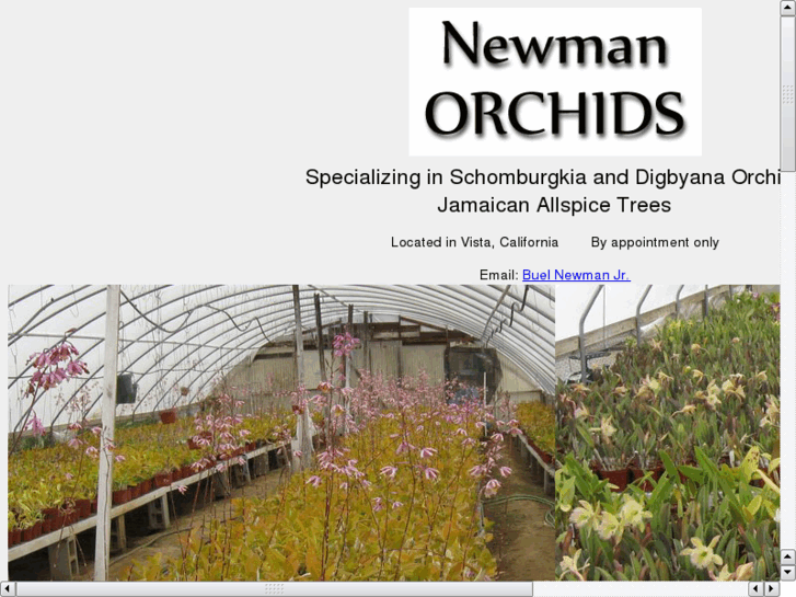 www.newmanorchids.com