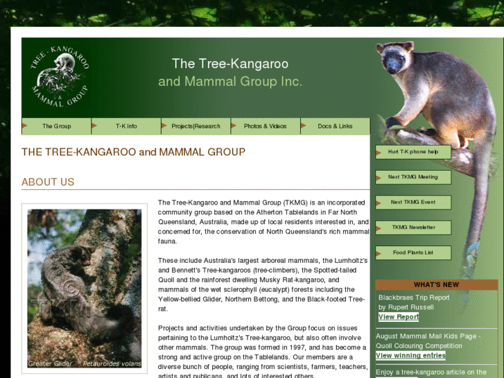 www.tree-kangaroo.net