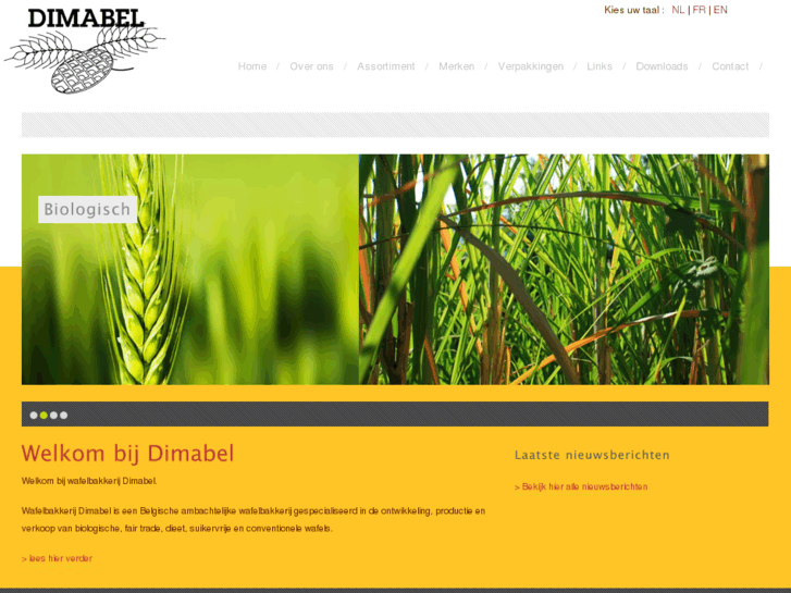 www.dimabel.com