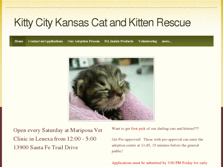 www.kittycityks.com