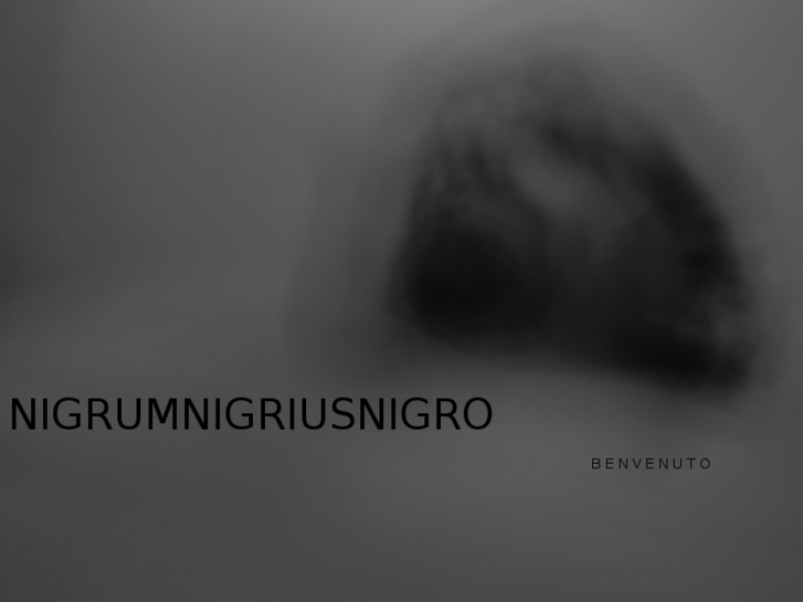 www.nigrumnigriusnigro.org