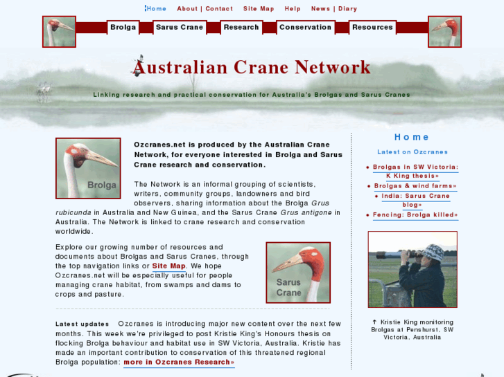 www.ozcranes.net