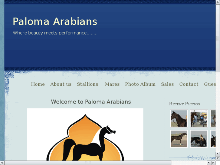 www.paloma-arabians.com