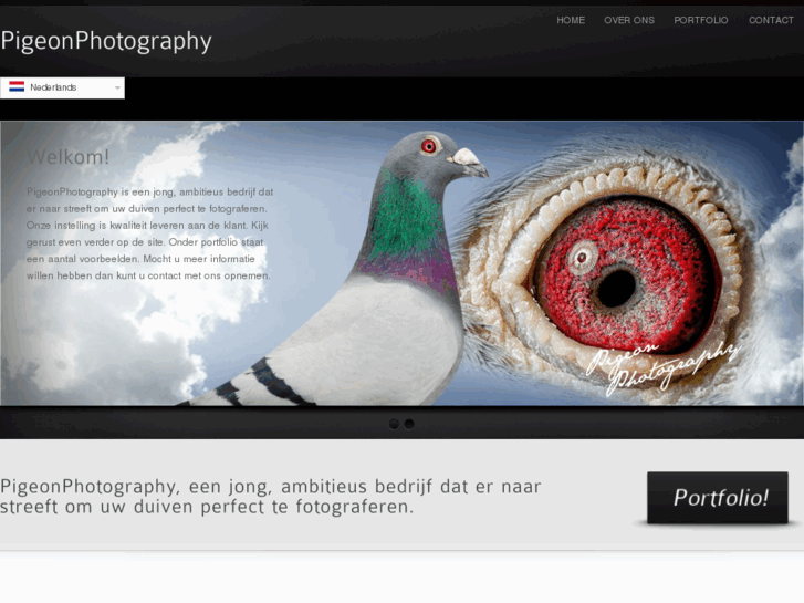 www.pigeonphotography.nl