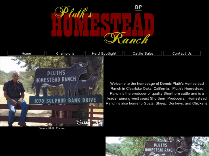 www.pluthshomesteadranch.com