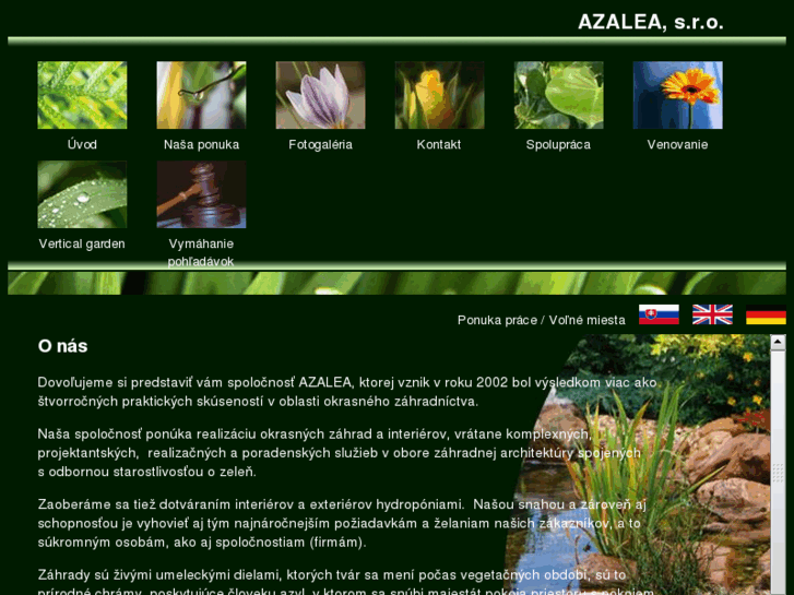 www.azalea.sk