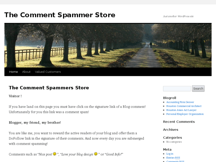 www.comment-spammers-store.com